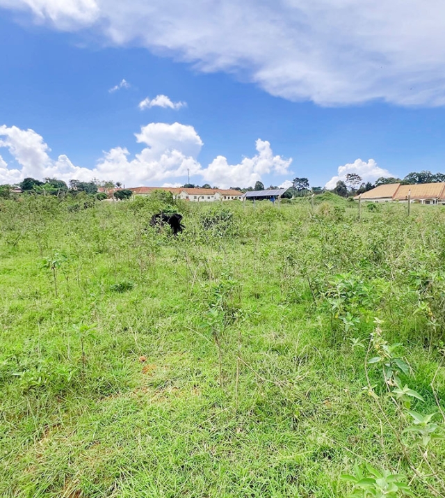 WhatsApp Image 2025-04-15 at 12.11.59 2.jpg